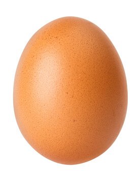 Egg